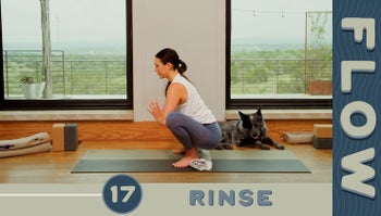 Flow - Day 17 - Rinse