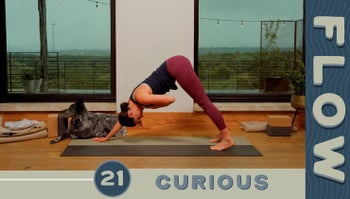 Flow - Day 21 - Curious 