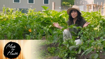 “You’ve Got Guts , Pt. 2” - Made for Health 10