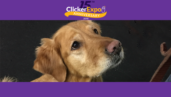 Keep Calm and Click On: Evidence & Improvement in the Click to Calm Method (2018)