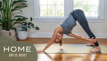 Home - Day 15 - Reset
