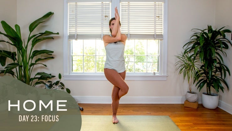 Home - Day 23 - Focus