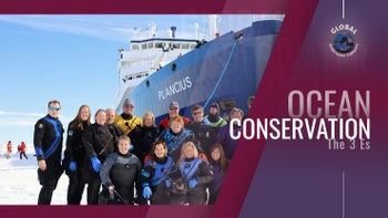 The Three Es of Ocean Conservation