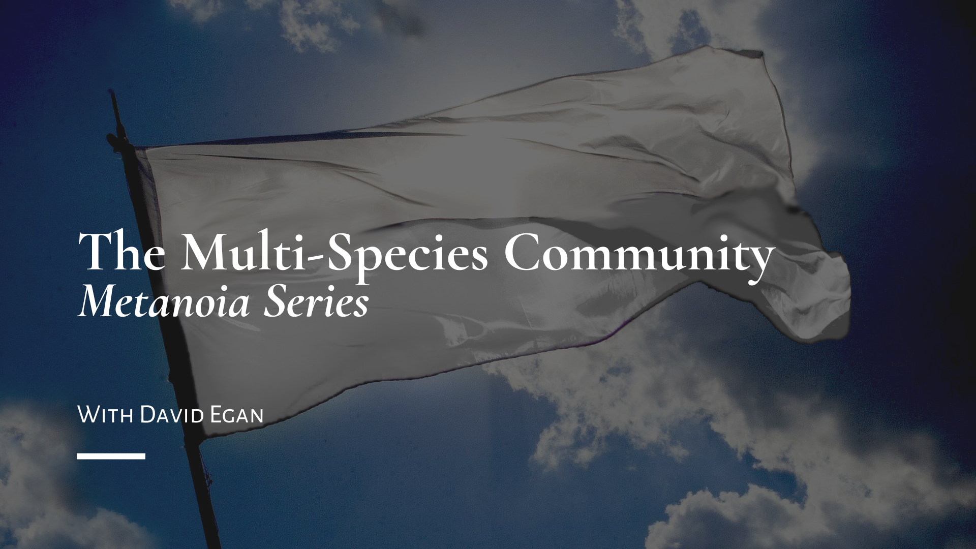 The Multi-Species Community