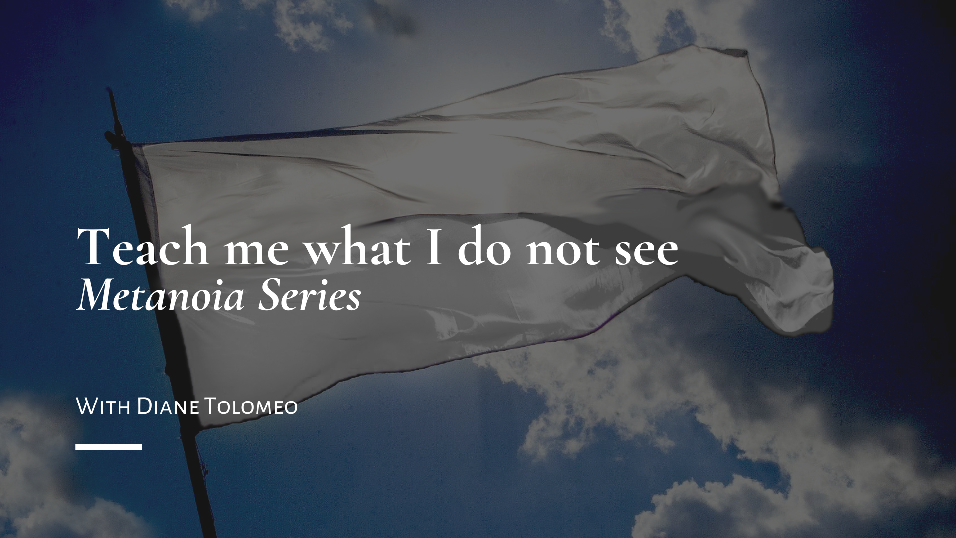 “Teach Me What I Do Not See” With Diane Tolomeo