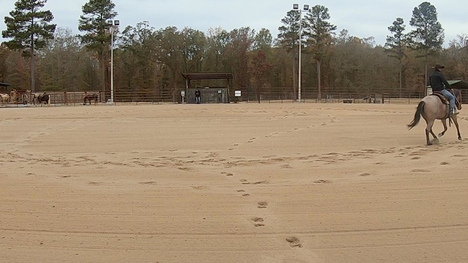 How To Teach A Horse To Lope Pretty Circles B1 Horsemanship