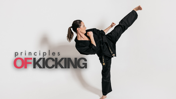 Principles of Kicking Workshop