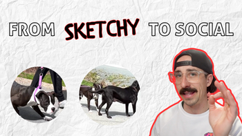 From Sketchy to Social