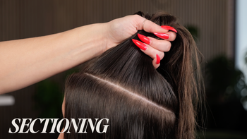 Haley Evans : Sectioning