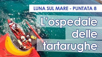 Luna sul mare - Puntata 8 - L'ospedale delle tartarughe