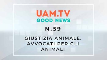 Good News - N.59 - Giustizia Animale - Avvocati per gli animali