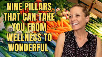 Lecture 102 - Alona Pulde, MD, and Matthew Lederman, MD - The Nine Pillars that can take you from Wellness to Wonderful