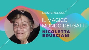 Masterclass - Il magico mondo dei gatti