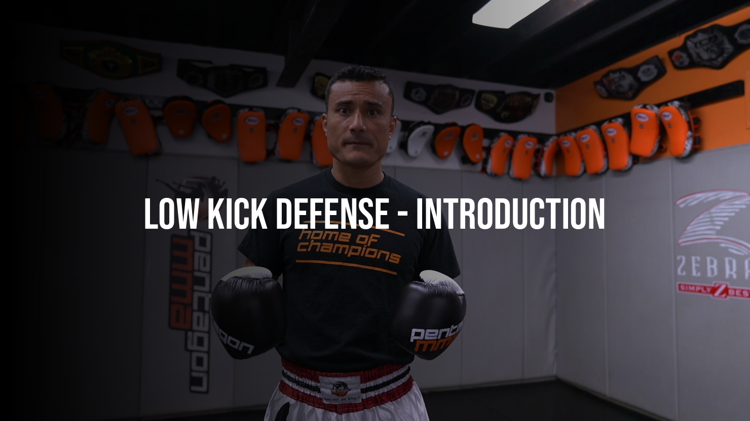 Low Kick Defense: Introduction