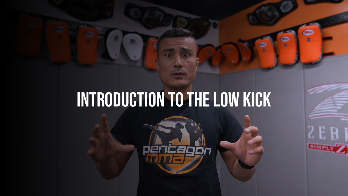 Introduction to the Low Kick