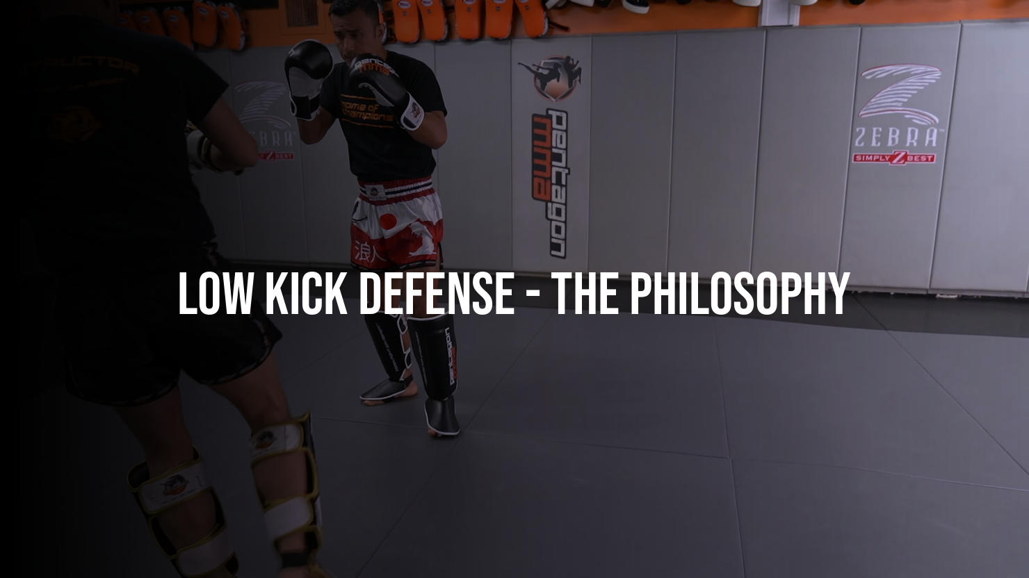 Low Kick Defense: The Philosophy