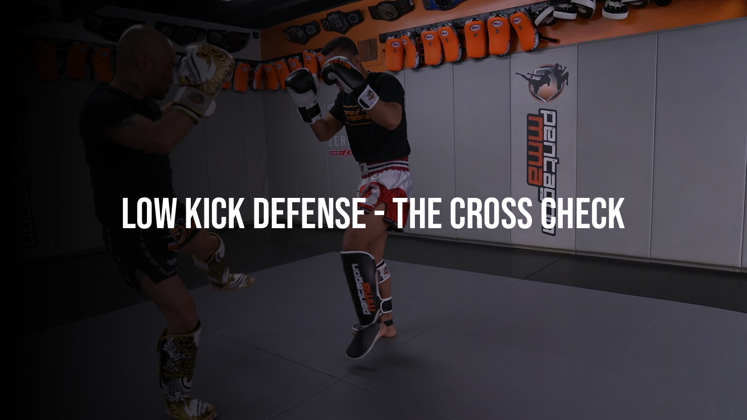 Low Kick Defense: The Cross Check