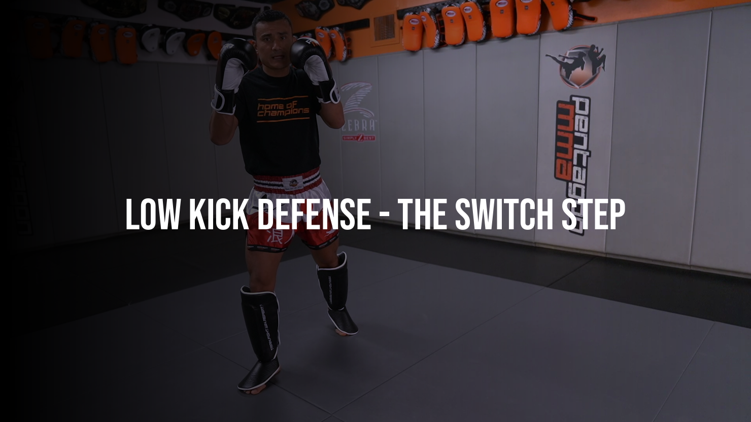 Low Kick Defense: The Switch Step