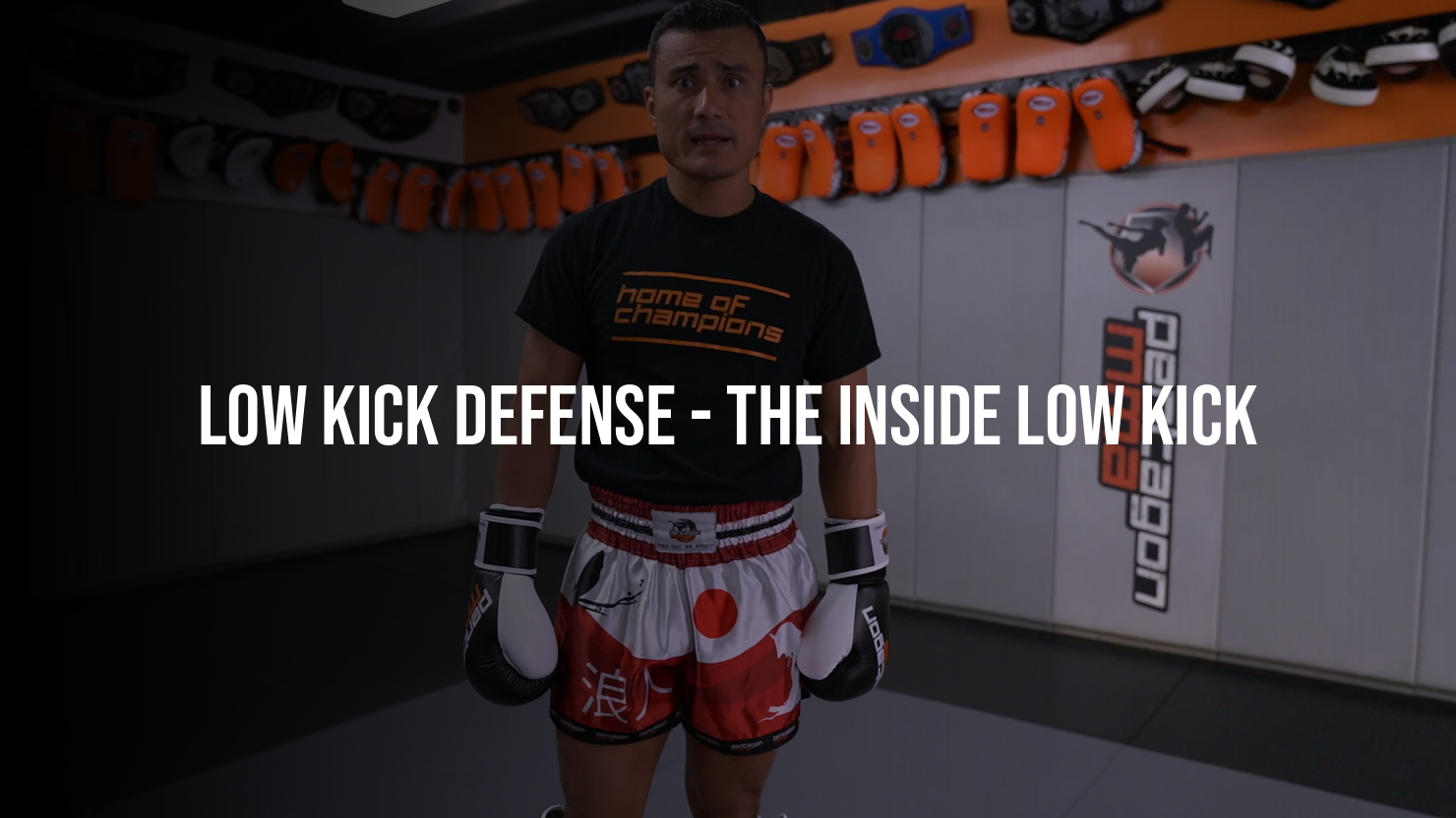 Low Kick Defense: The Inside Low Kick