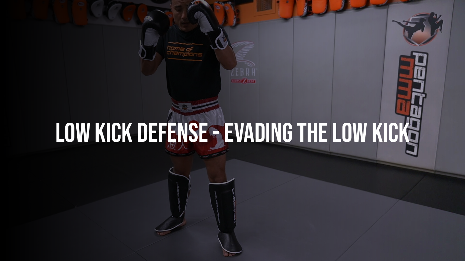 Low Kick Defense: Evading The Low Kick