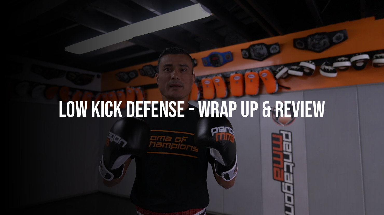 Low Kick Defense: Wrap Up & Review