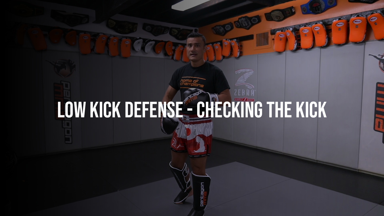 Low Kick Defense: Checking The Kick