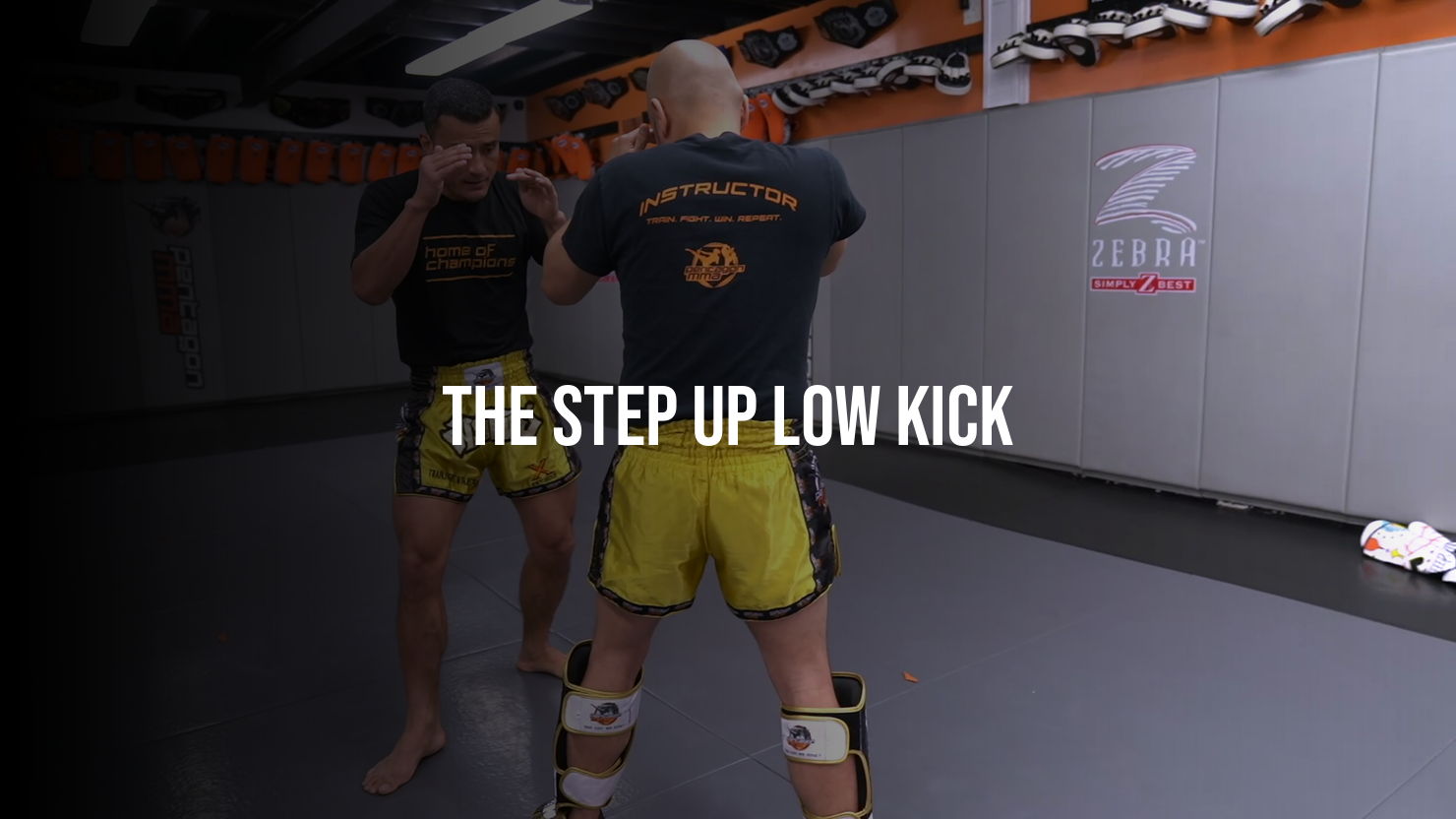 The Step Up Low Kick