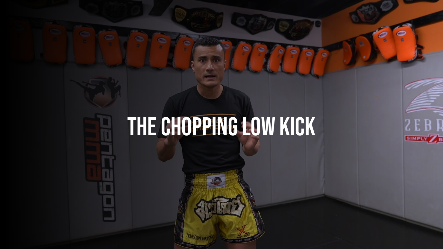 The Chopping Low Kick
