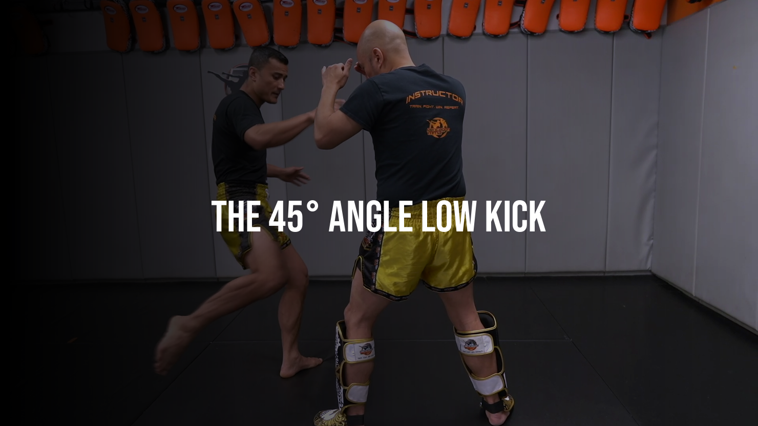The 45° Angle Low Kick