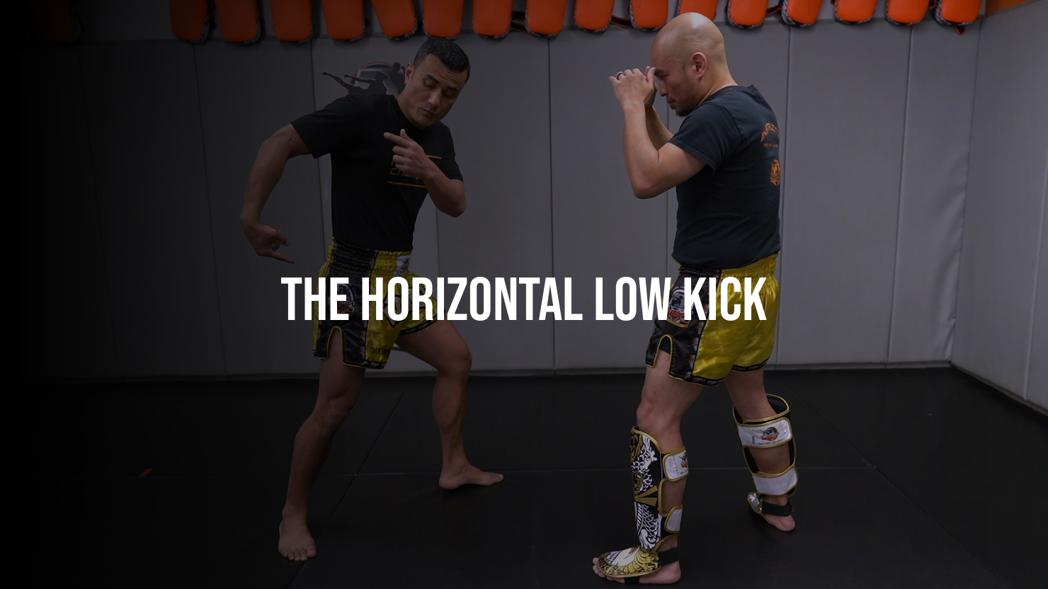 The Horizontal Low Kick