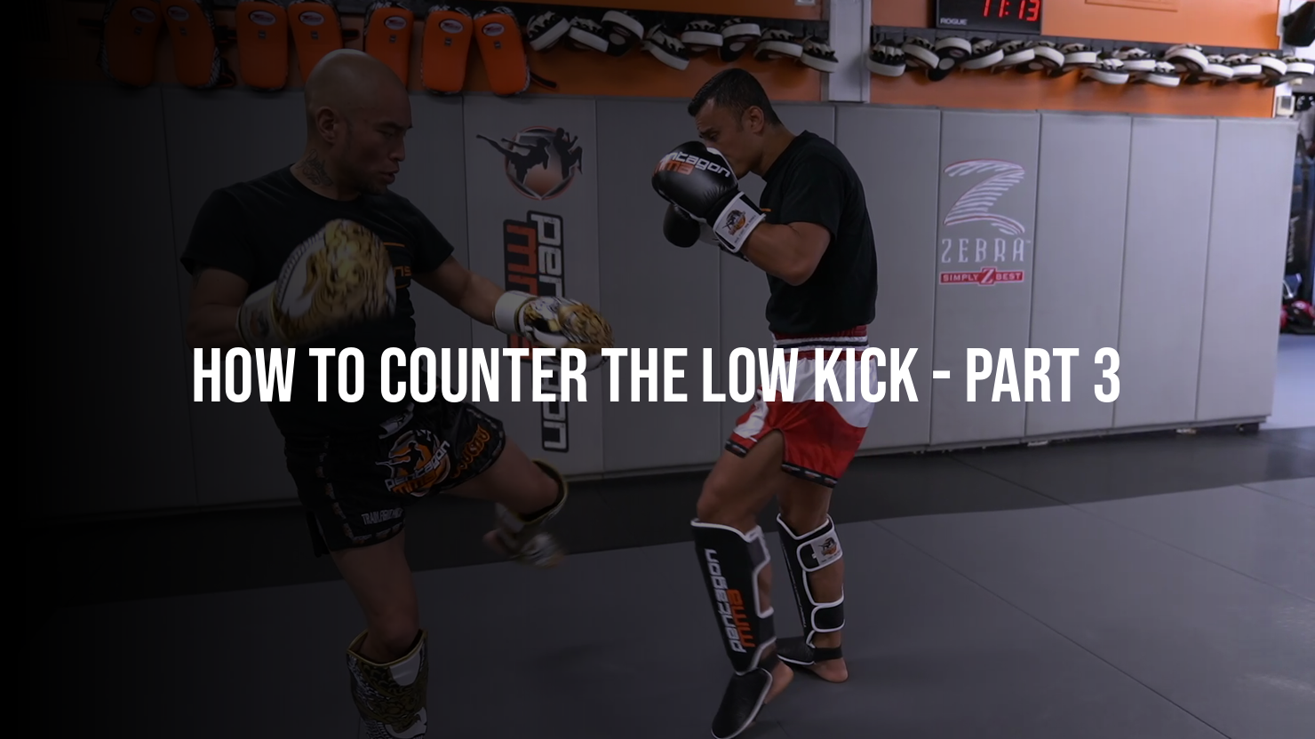 How To Counter The Low Kick: Part 3
