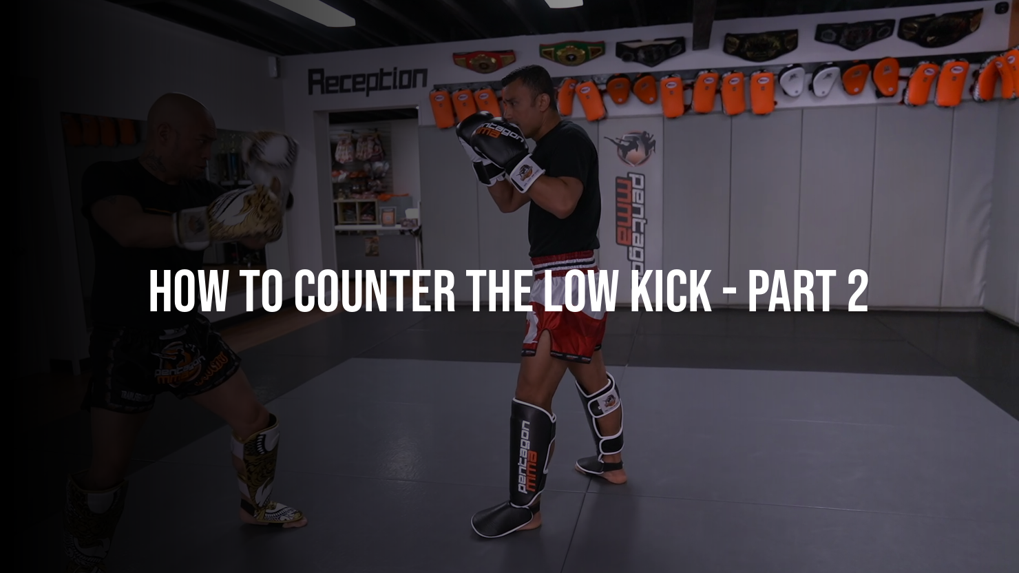 How To Counter The Low Kick: Part 2
