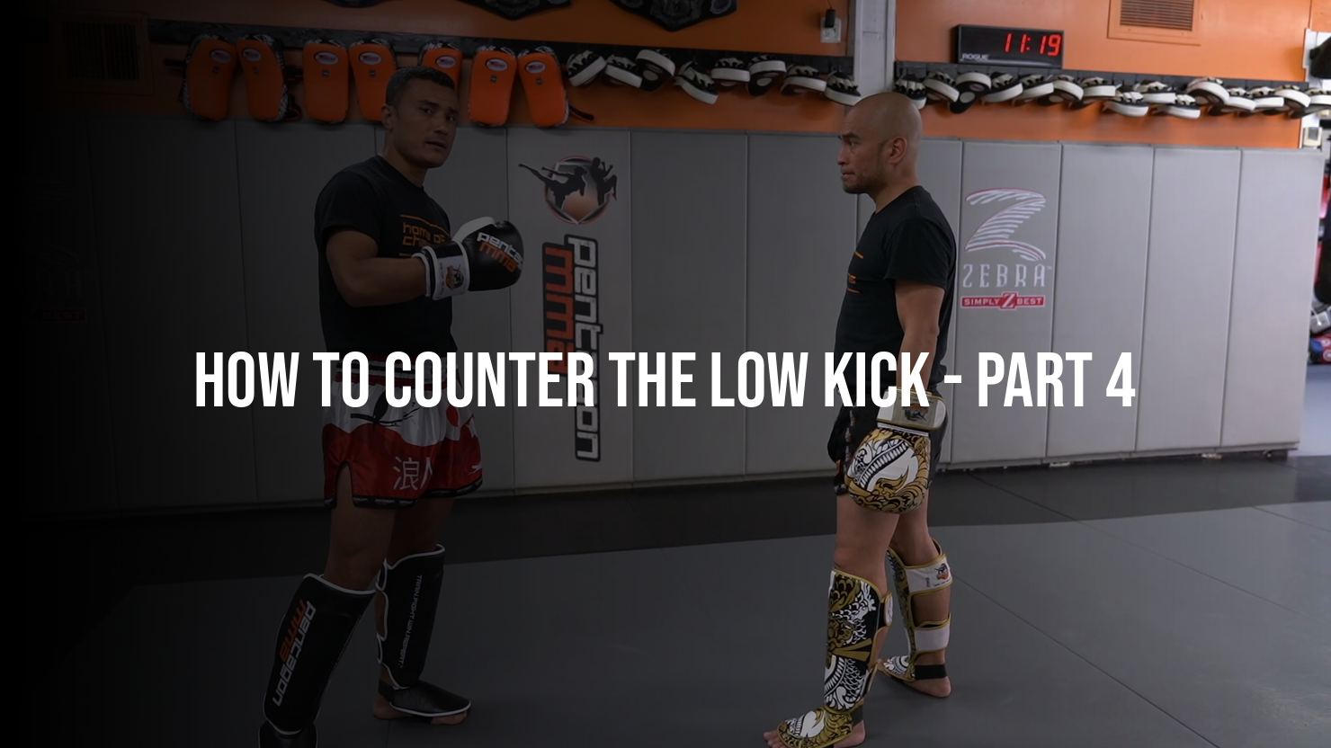 How To Counter The Low Kick: Part 4