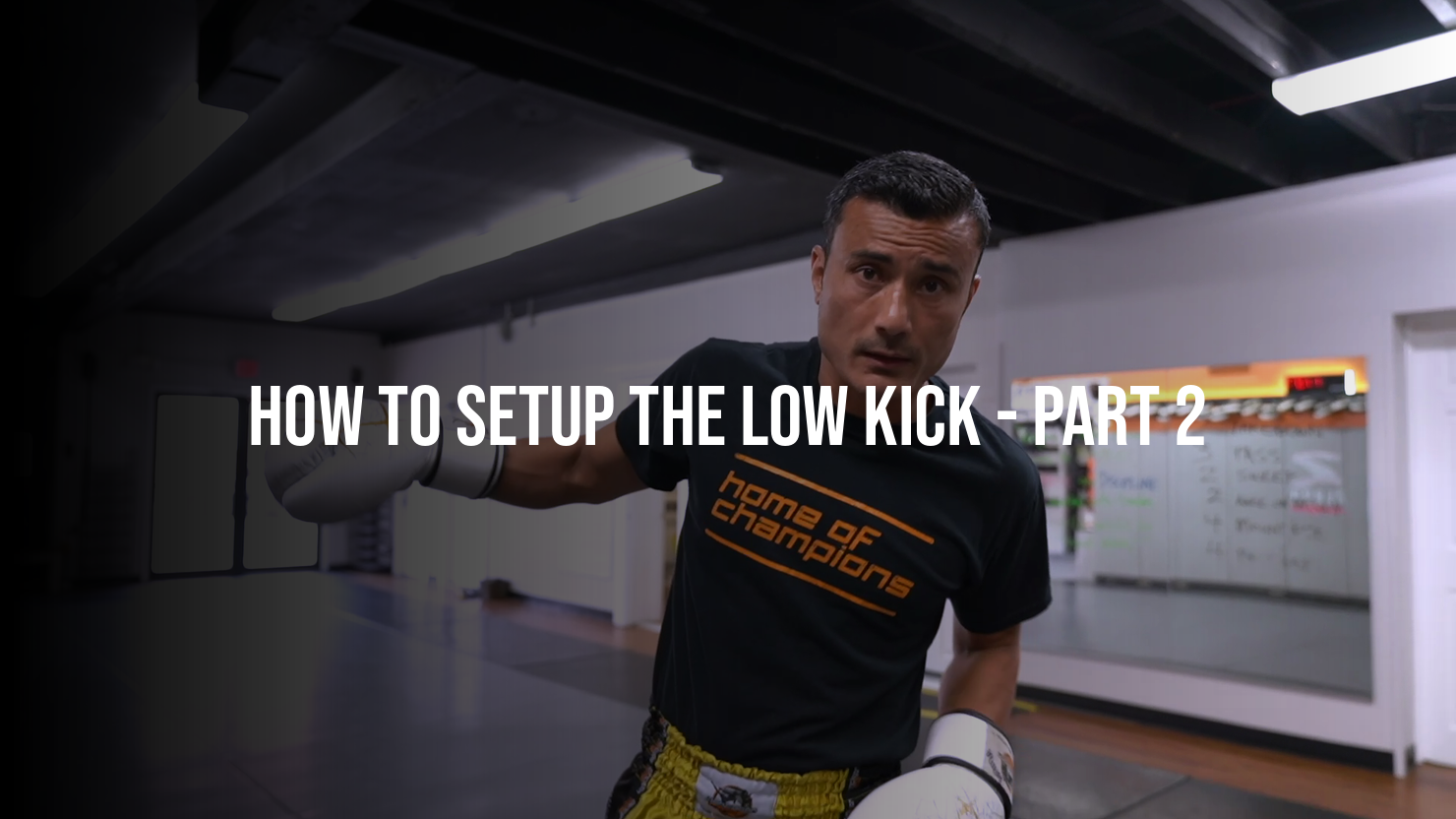 How To Setup The Low Kick: Part 2