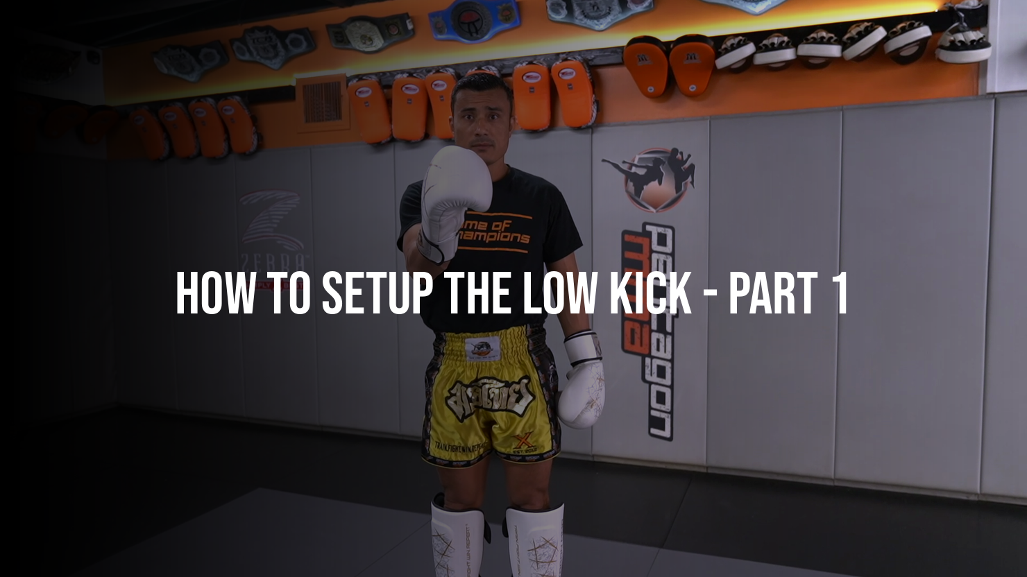 How To Setup The Low Kick: Part 1