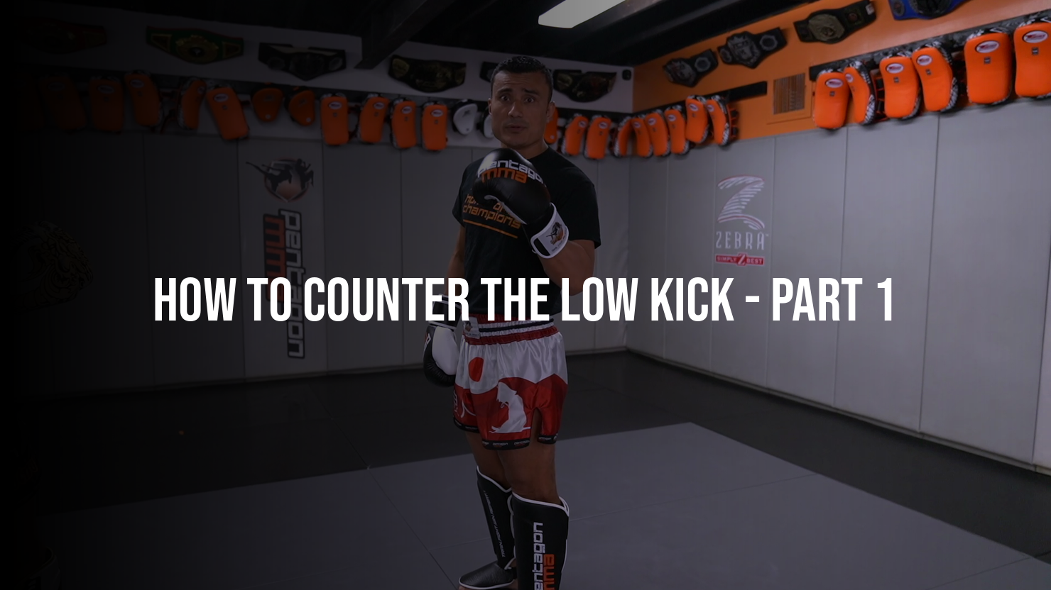 How To Counter The Low Kick: Part 1