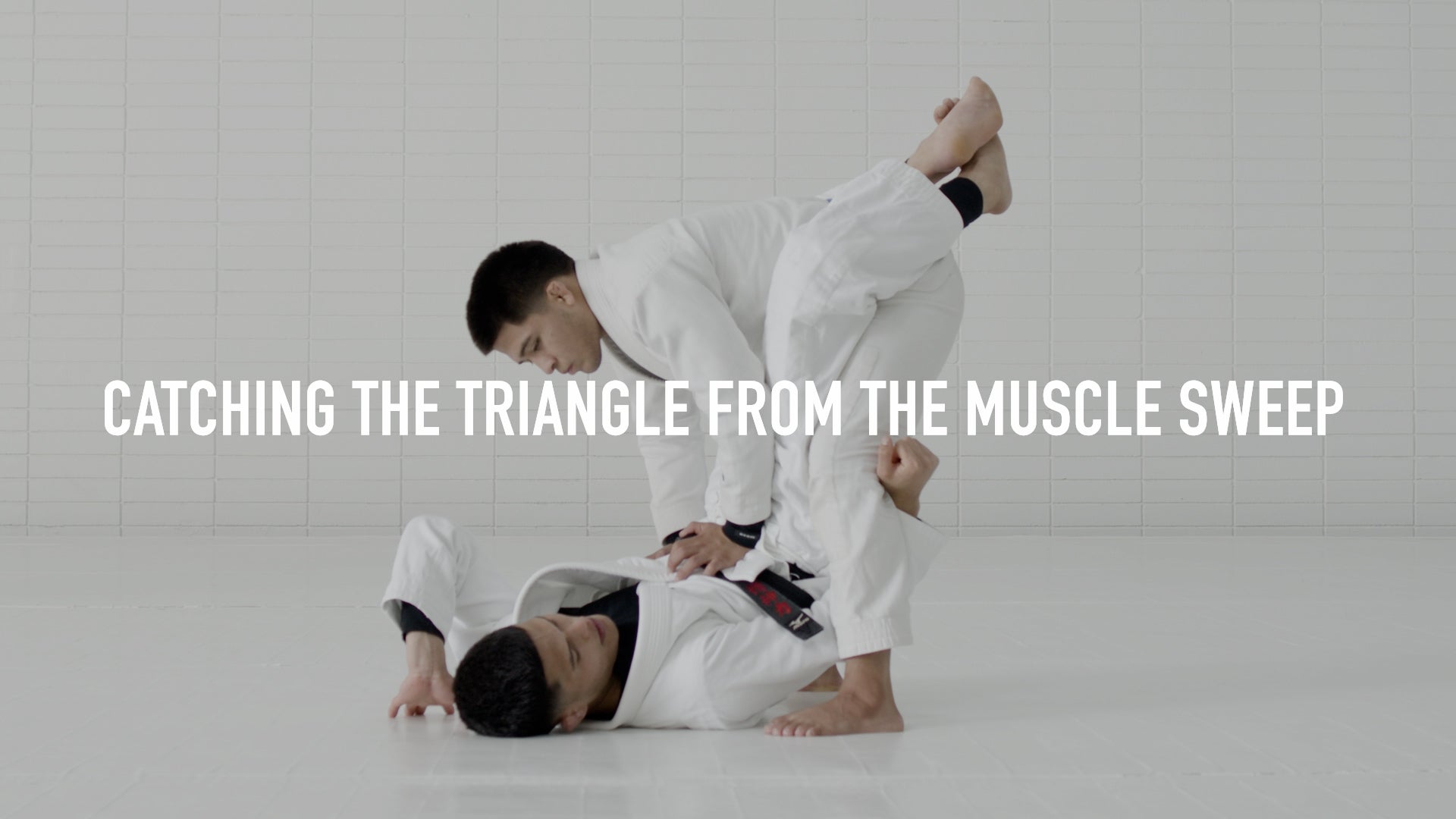 Triangle Curriculum
