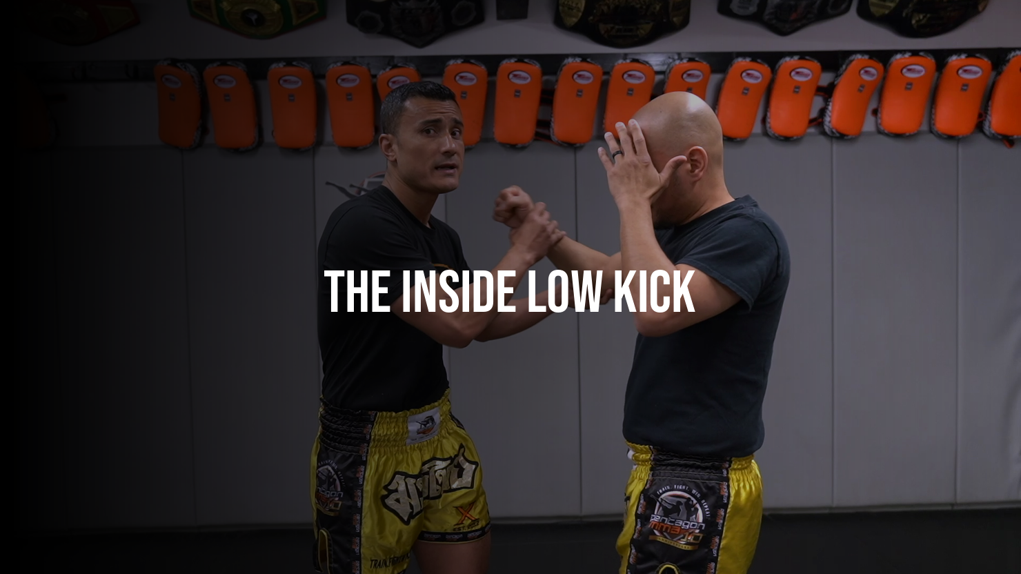 The Inside Low Kick