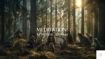 Meditation - Spirit Animal