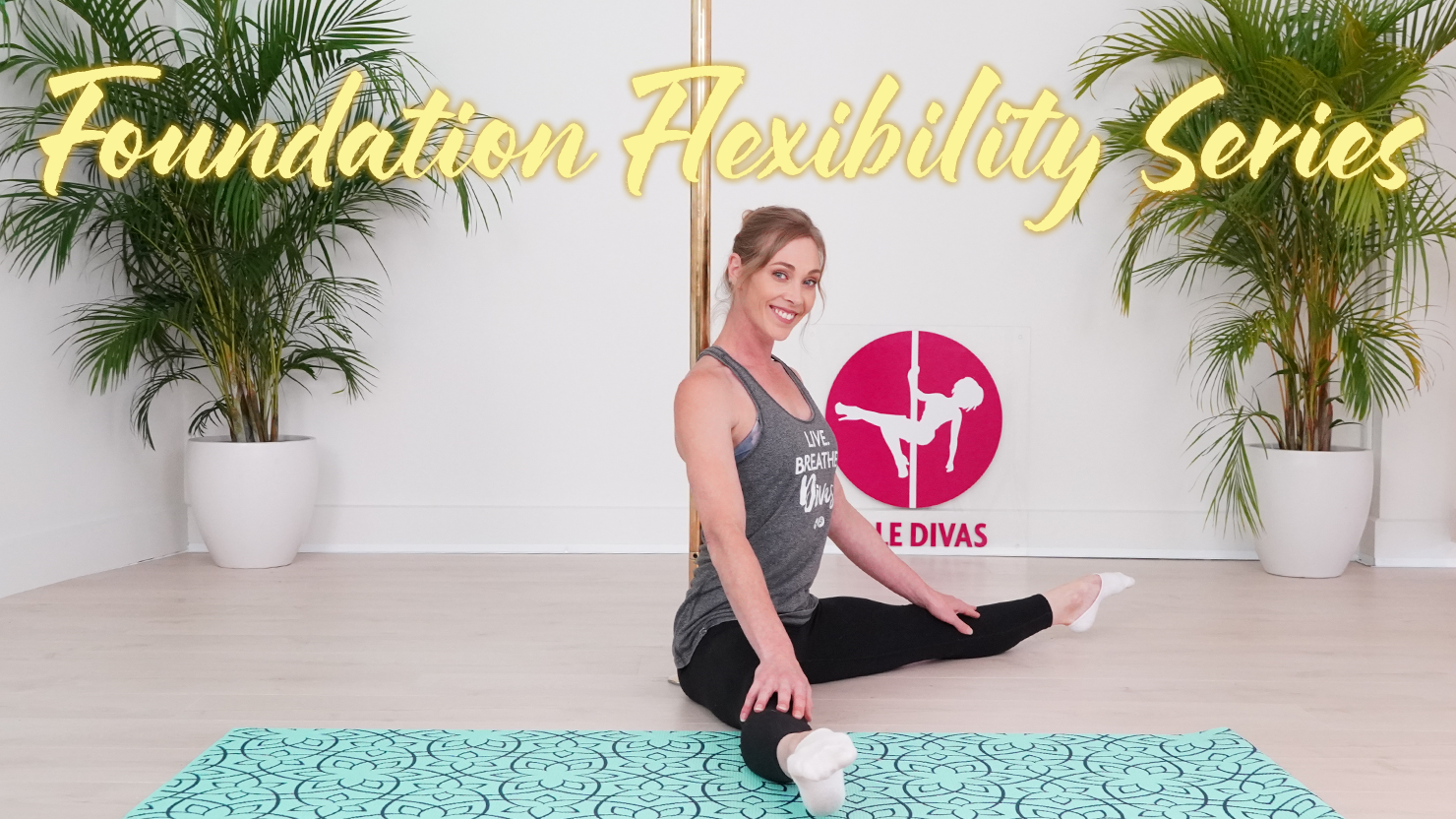Foundation Flexibility Series