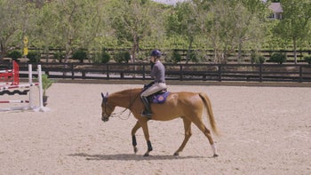 Practice - Pieces of a Course - Lesson 5: Fine Tune Your Training with Peter Wylde