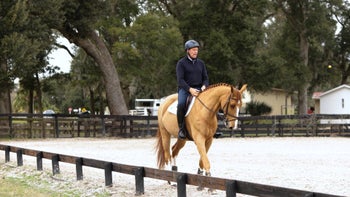 Transition Practice - Walk Trot [Video] Day 2 Training Program - Flatwork Non-Negotiables with Peter Wylde