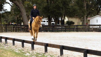 Lengthening and Shortening with a Following Seat [Video] Day 3 Training Program - Flatwork Non-Negotiables with Peter Wylde