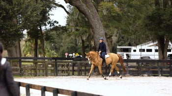 Transition Practice - Forward and Back [Video] Day 2 Training Program - Flatwork Non-Negotiables with Peter Wylde