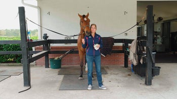 Practical Skills for Spring - Horse Care for All Seasons with Max Corcoran