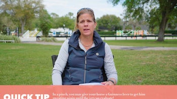 Summer Goals & Challenges - Horse Care for All Seasons with Max Corcoran