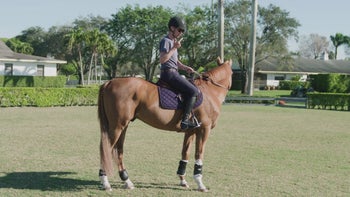Seat, Legs, & Hands 101 - Fundamentals of a Functional Position with Karl Cook