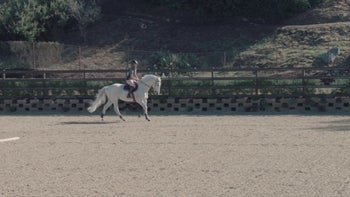 The Common Denominator: The Canter - Strategic Riding with Karl Cook