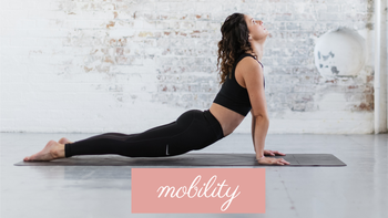 Shoulder and spine Mobility Session