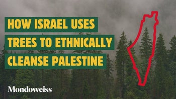 How Israel Uses Trees To Ethnically Cleanse Palestine | Mondoweiss